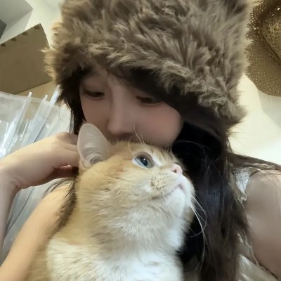 猫贼